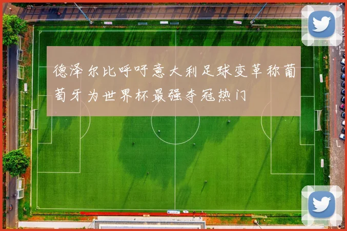 德泽尔比呼吁意大利足球变革称葡萄牙为世界杯最强夺冠热门