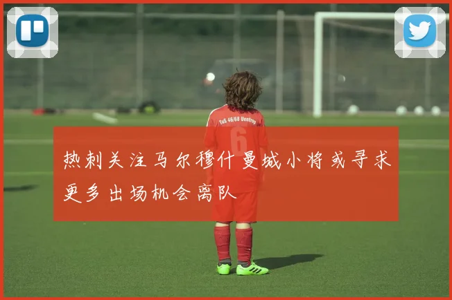 热刺关注马尔穆什曼城小将或寻求更多出场机会离队
